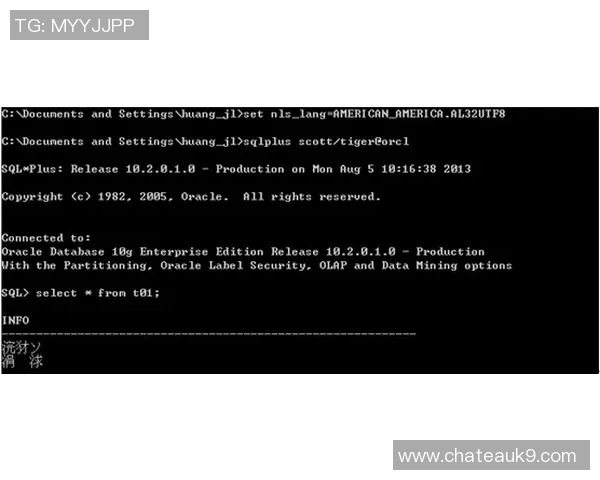 吴敏独家分享：深入剖析CSGO游戏技巧与心得体会